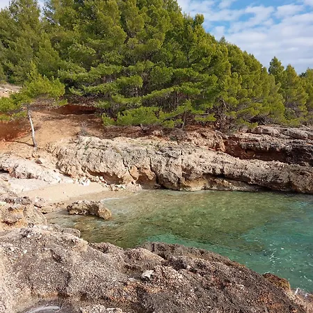 Lino 伊万多拉克