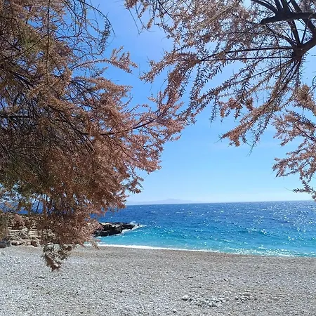 Lino 아파트 이반 돌라츠