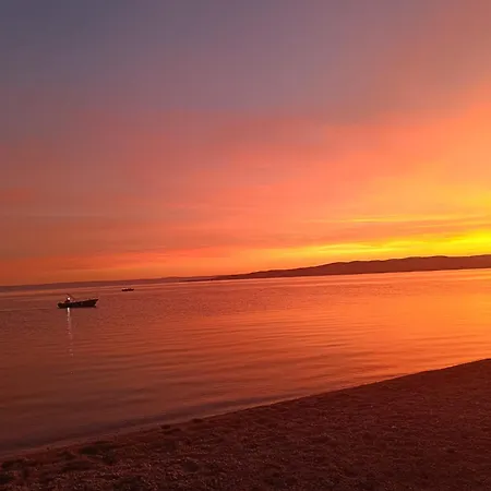 Lino 伊万多拉克