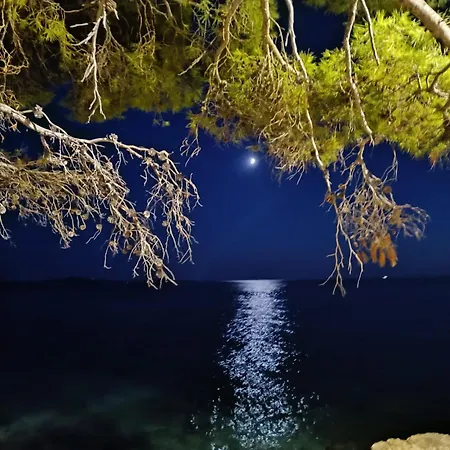 公寓 Lino 伊万多拉克