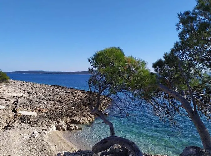 Lino 公寓 伊万多拉克