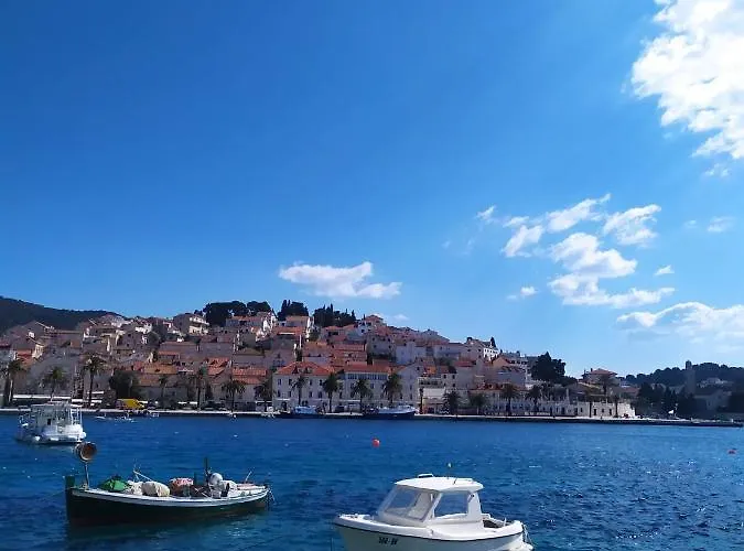 Lino * イバン・ドーラッツ