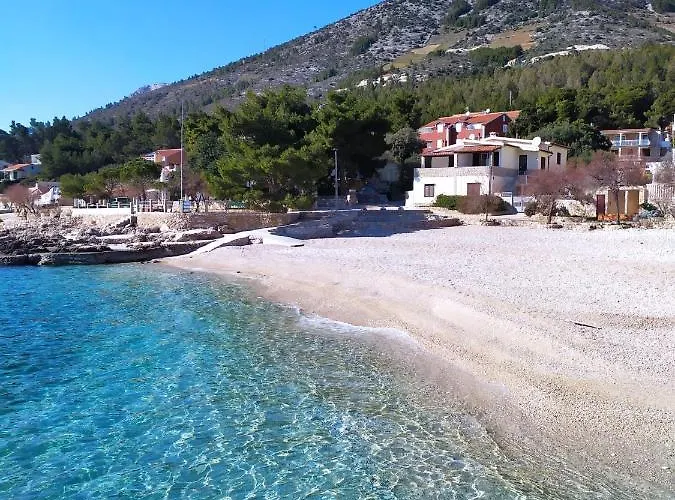 Lino * 伊万多拉克