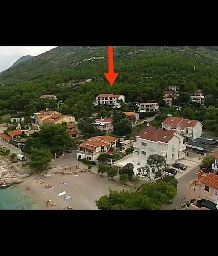 Lino イバン・ドーラッツ