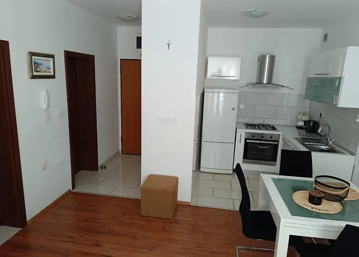 Lino * イバン・ドーラッツ