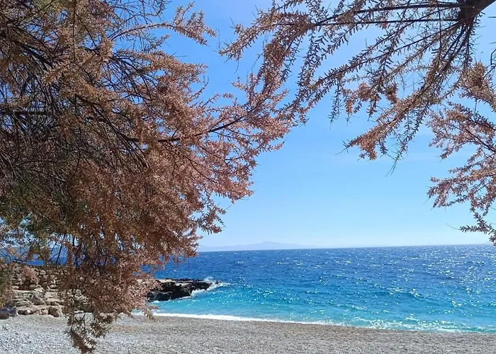 Lino 公寓 伊万多拉克