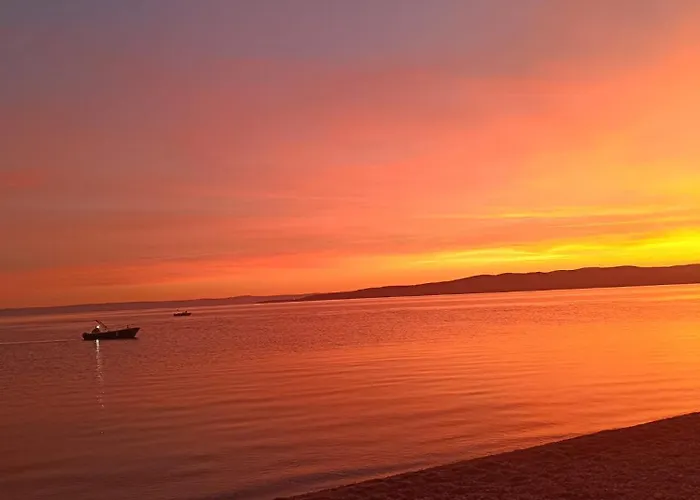 Lino イバン・ドーラッツ