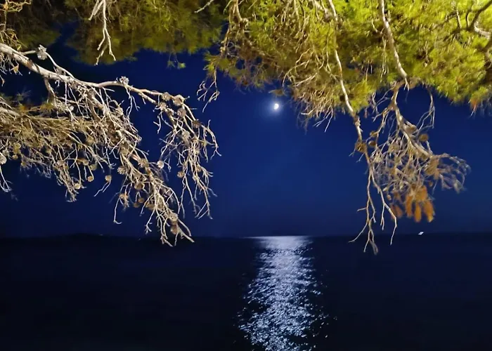 アパート Lino イバン・ドーラッツ